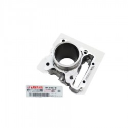 Cylinder Yamaha XMAX 300