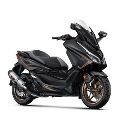 Accessories Custom FORZA 350 2023/25