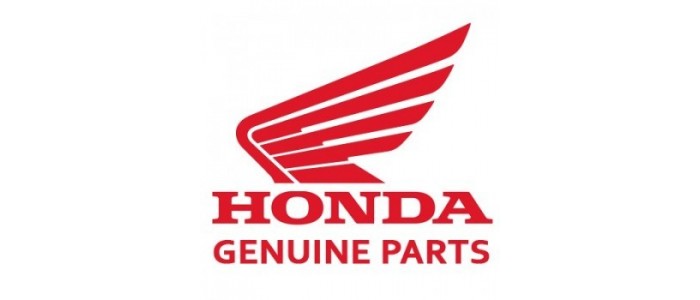 Pièces Origine Honda FORZA 300 Thailande